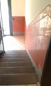 IMAG0517             